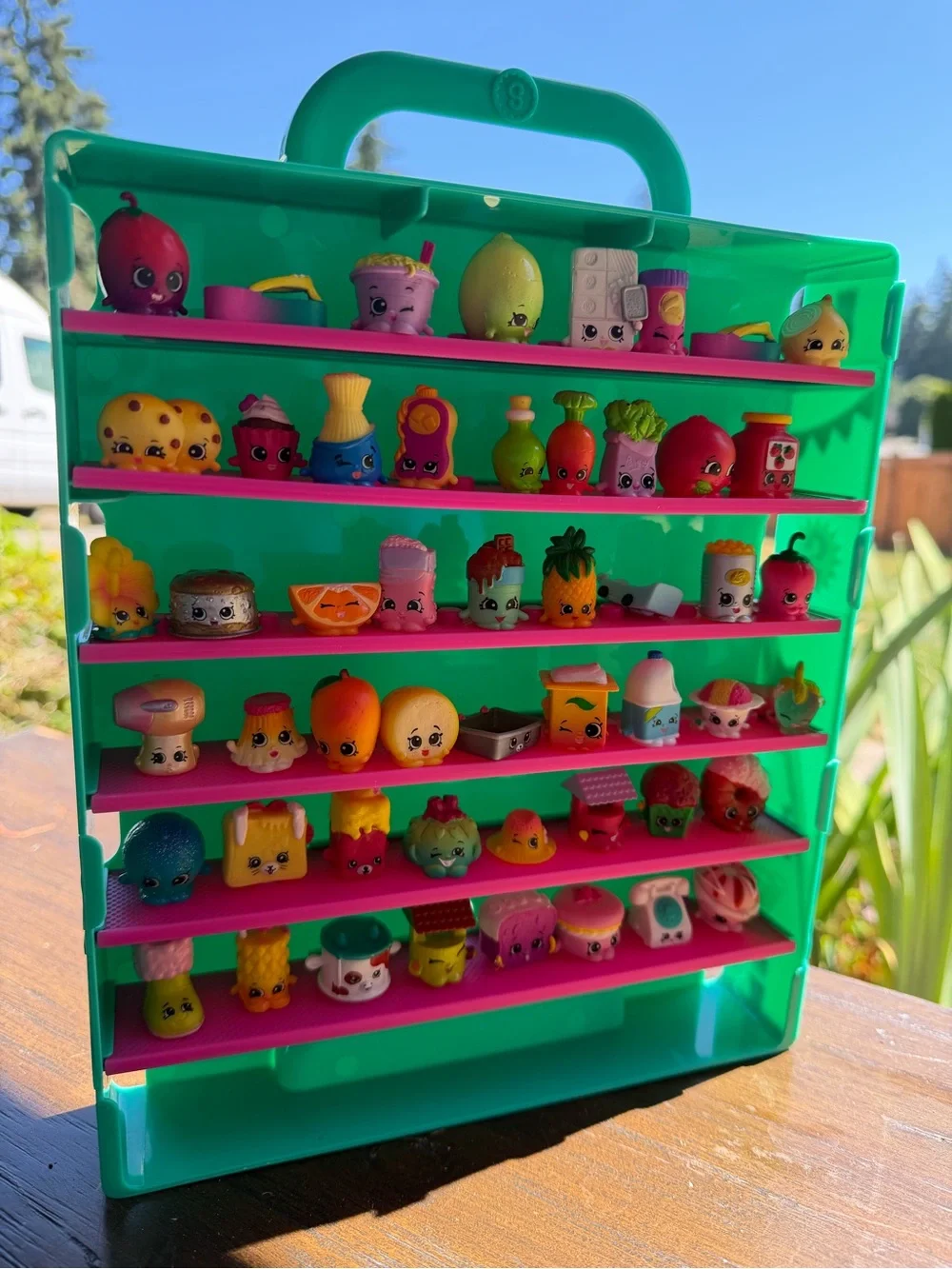 Shopkins Green Carry Case with Pink Shelves - Collectible Display 53 toys